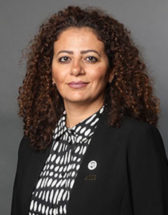 Dr. Nessrin Shaya