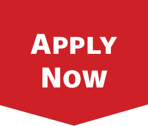 apply-now